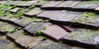 Basildon roof repair costs